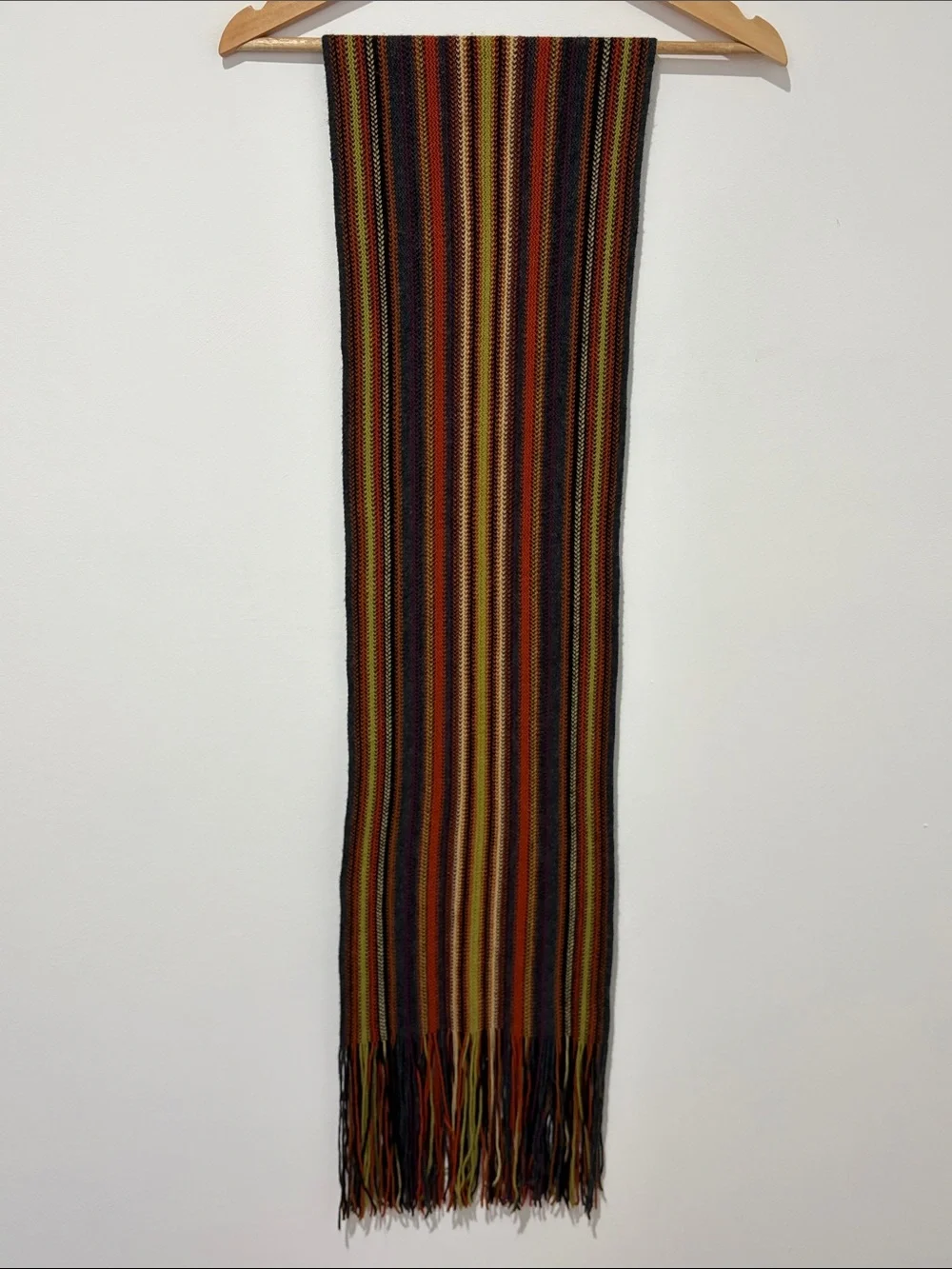 Knit Multicolor Scarf with Fringe Earth Tones Fall Winter Unisex